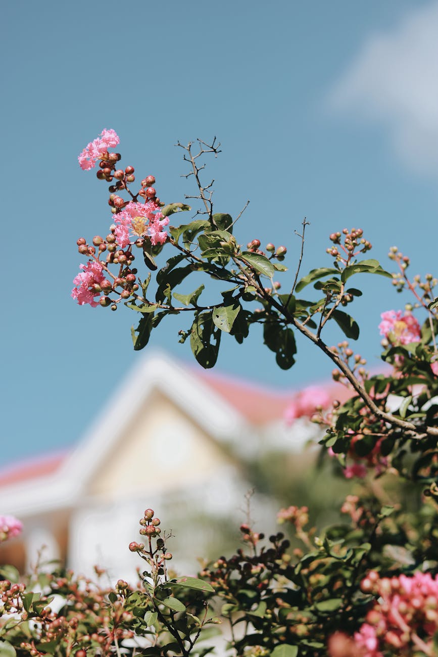 Home Values in Los Rios: What You Need to&nbsp;Know